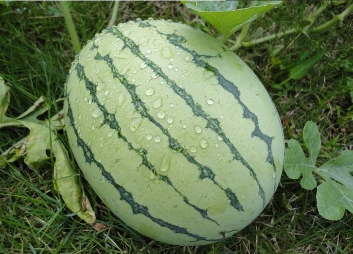 案例风采